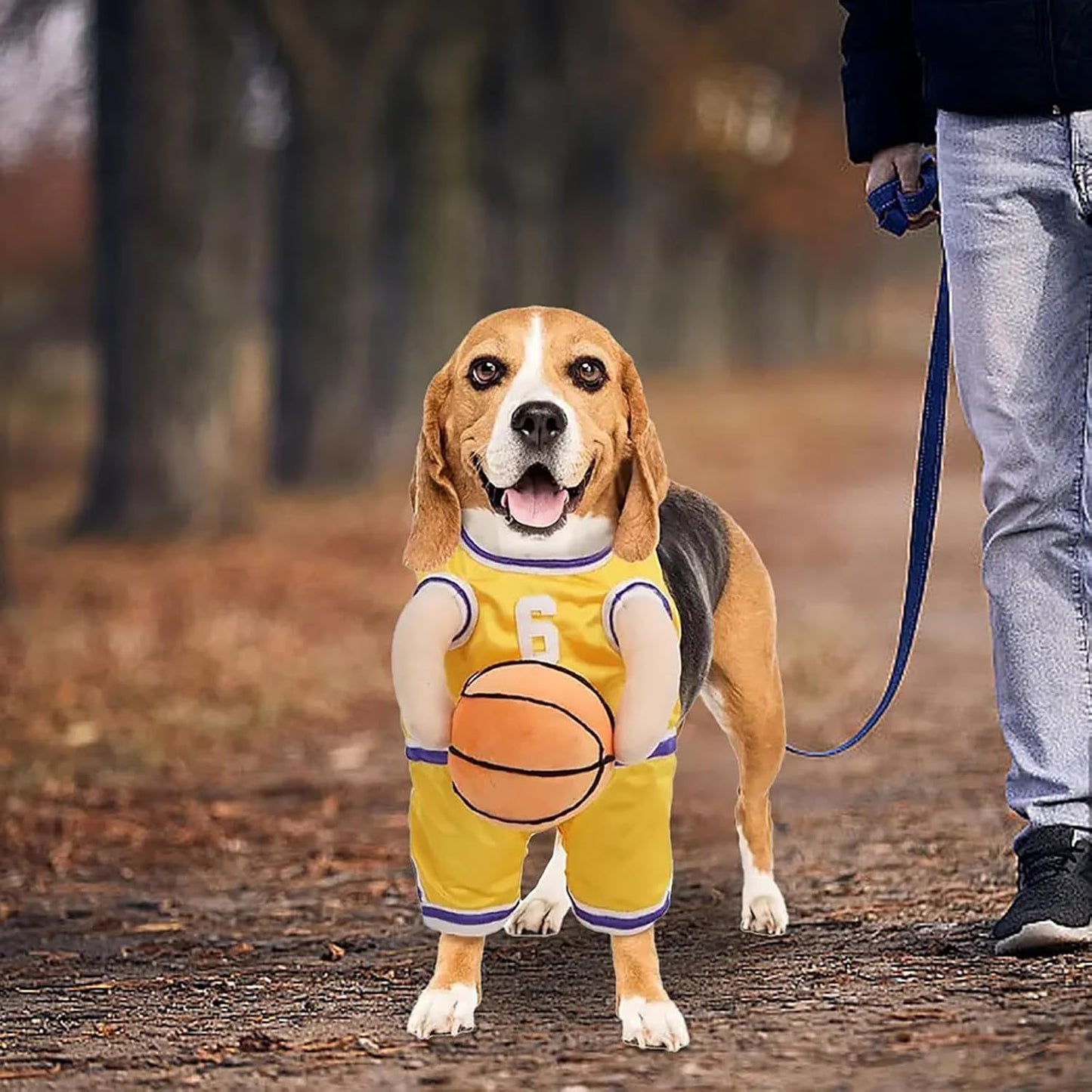 Pet Costumes Dog Basketball Player Costume Halloween