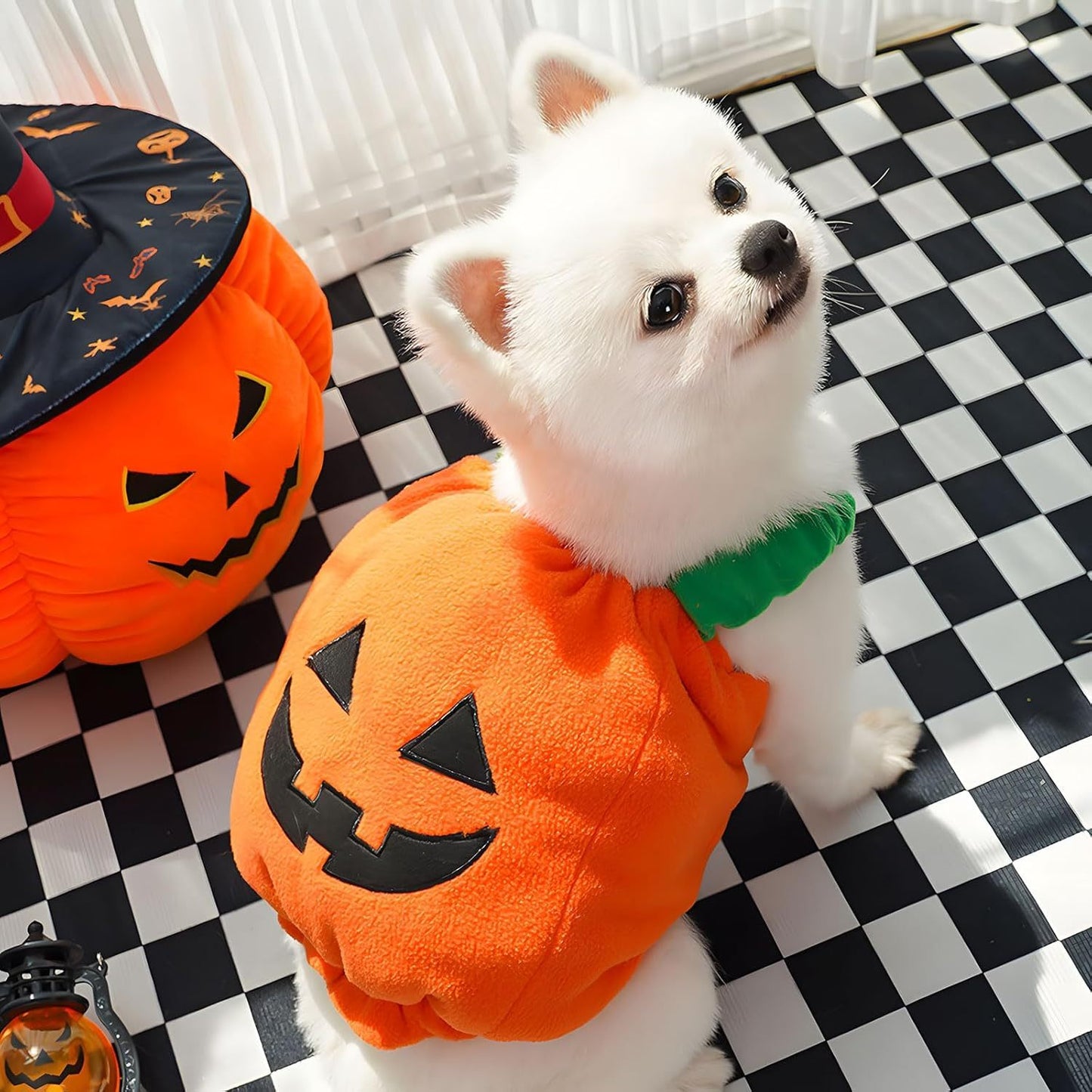 Disfraz de calabaza para perro o gato de Halloween, divertido y grueso.
