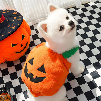 Disfraz de calabaza para perro o gato de Halloween, divertido y grueso.