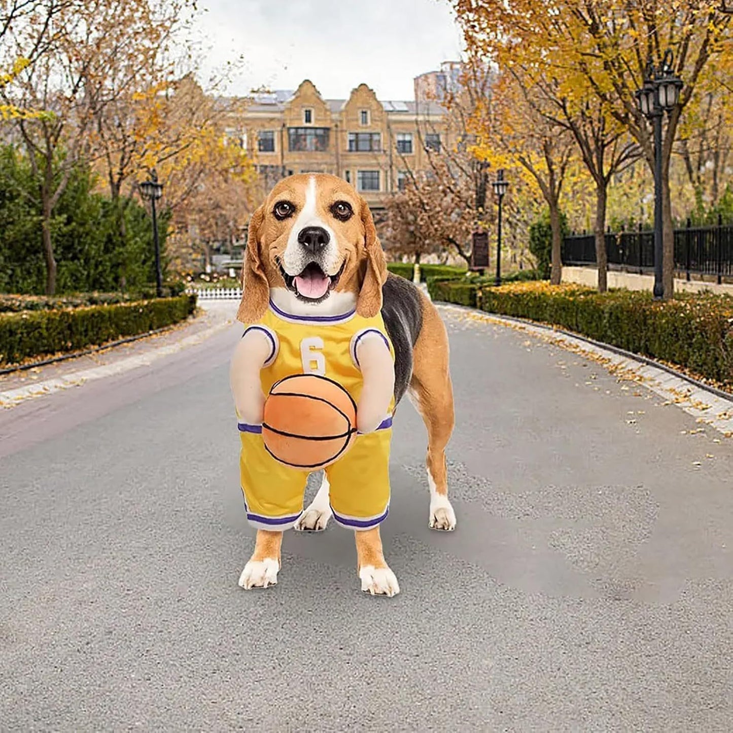 Pet Costumes Dog Basketball Player Costume Halloween