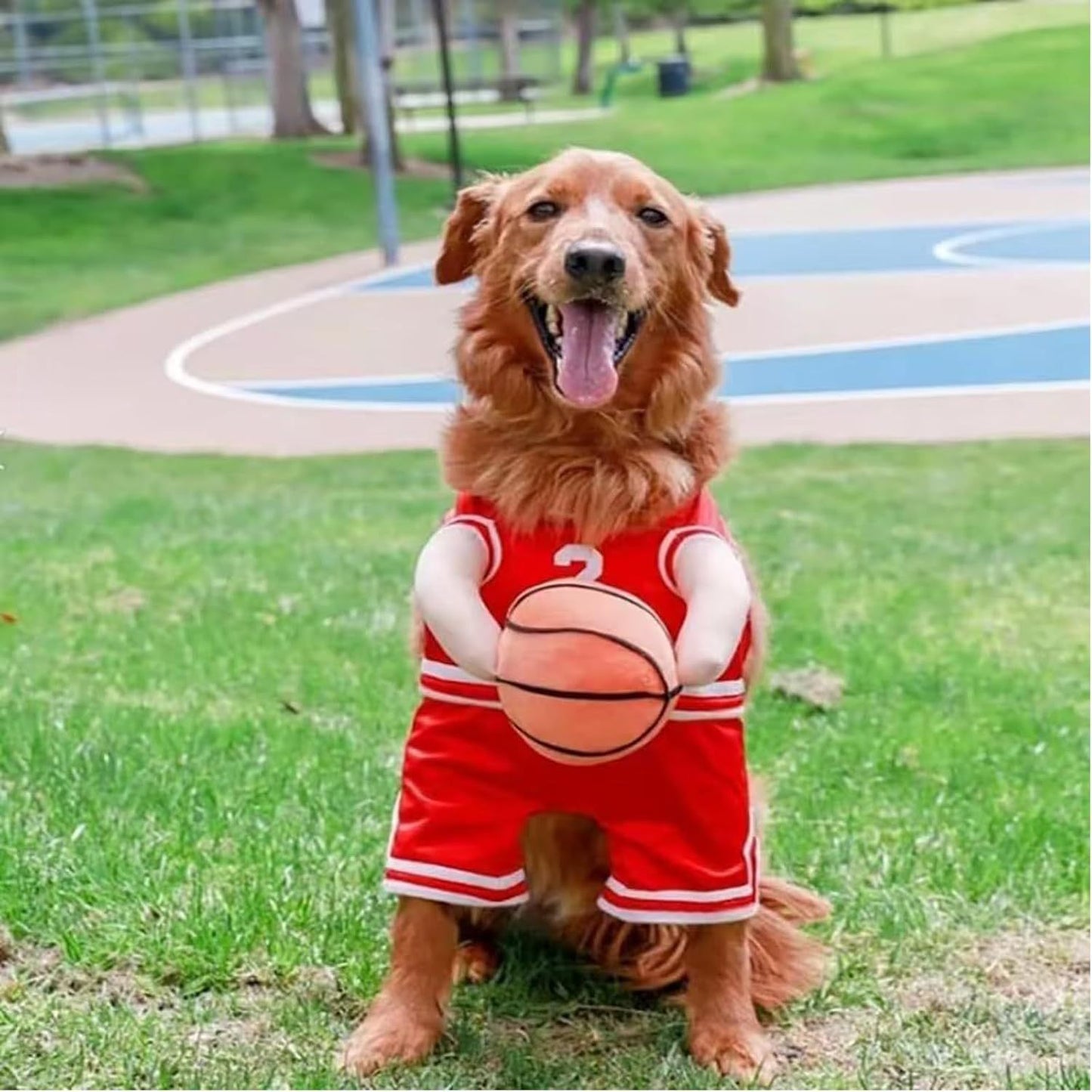 Pet Costumes Dog Basketball Player Costume Halloween