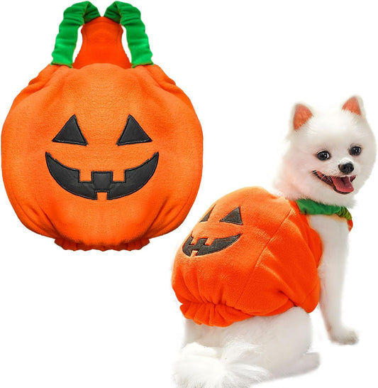 Disfraz de calabaza para perro o gato de Halloween, divertido y grueso.